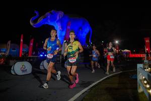 BIB: 
                            <button type="button" onclick="openModal(26551984)" class="btn btn-primary btn-sm float-right btn-popup" data-toggle="modal" data-target=".modal-high-quality">
                        <i class="fas fa-shopping-cart"></i> Add to Cart
                    </button>
                                            <button type="button" onclick="isThisMe(26551984, true)" class="btn btn-success btn-sm float-right btn-popup btn-isme hidden" data-toggle="tooltip" data-placement="bottom" title="นี่คือรูปของคุณใช่ไหม คลิกที่นี่เพื่อเอาเข้าอัลบั้ม">
                        <i class="fas fa-plus"></i> Add to album
                    </button>
                    <button type="button" onclick="isThisMe(26551984, false)" class="btn btn-warning btn-sm float-right btn-popup btn-isnotme hidden">
                        <i class="fas fa-ban"></i> Remove from album
                    </button>